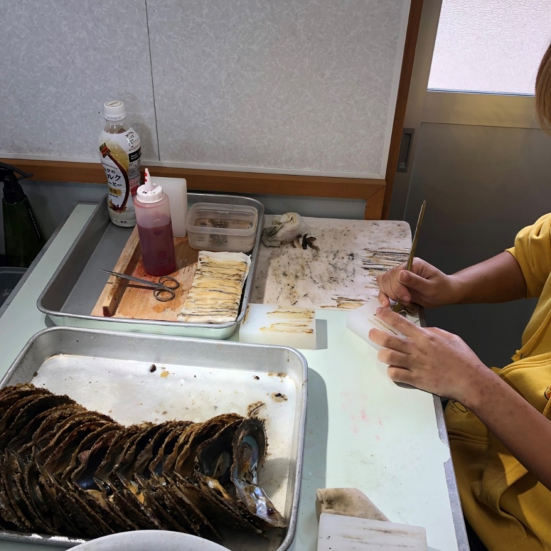 真珠　パール　ネックレス