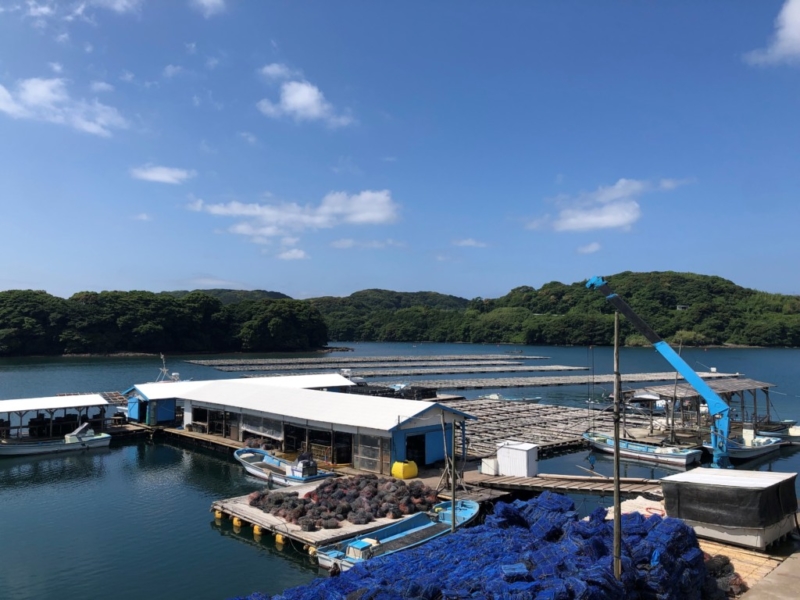 真珠　パール　ネックレス