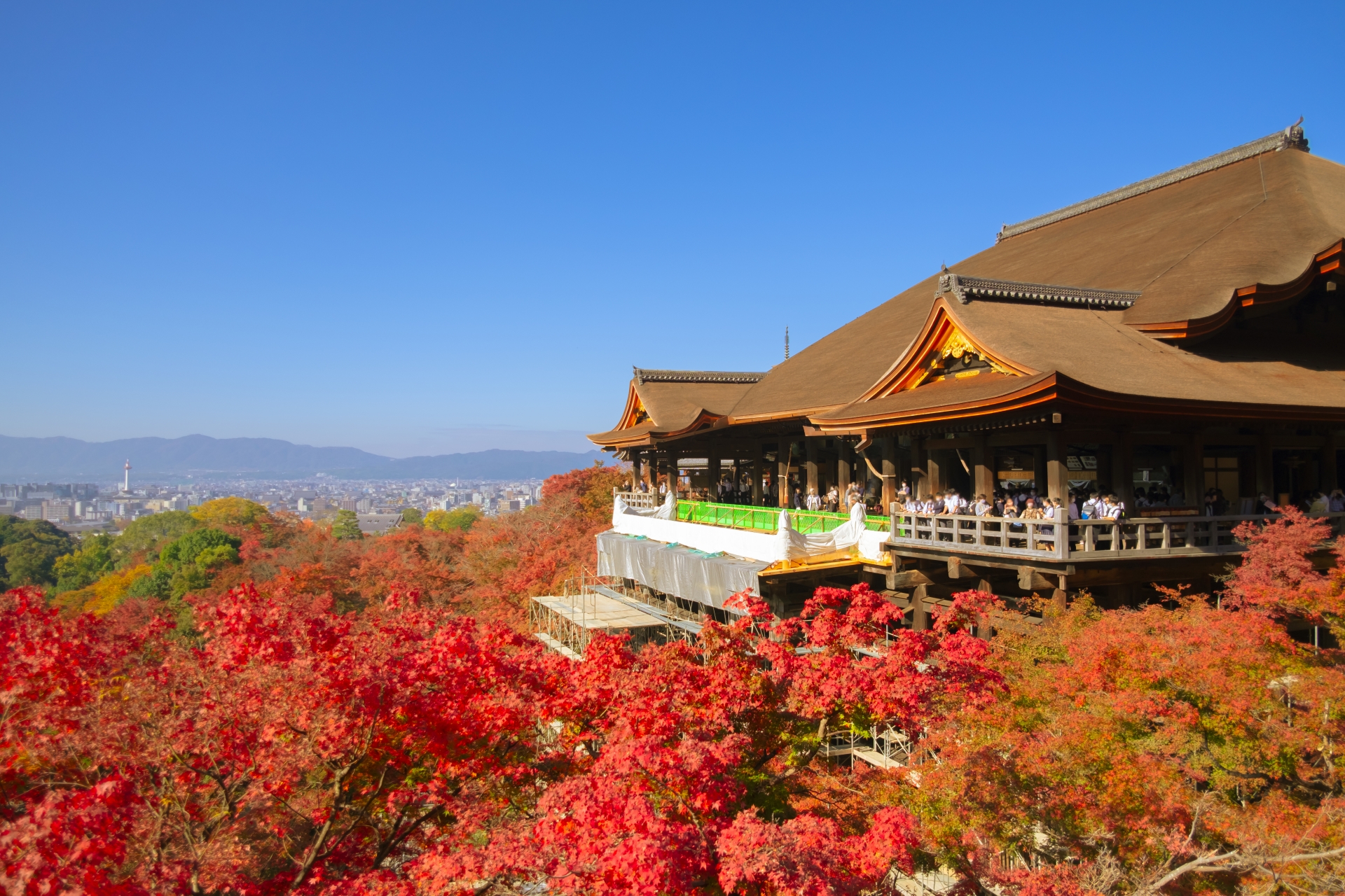 秋のプロポーズスポットにおすすめ清水寺