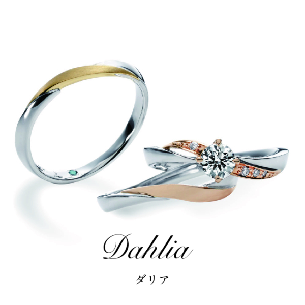 Dahlia　ダリア