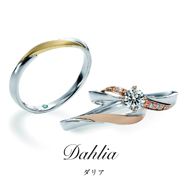 Dahlia　ダリア