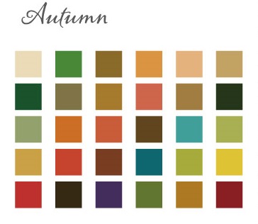 イエべカラーが映える、運命の結婚指輪セレクション