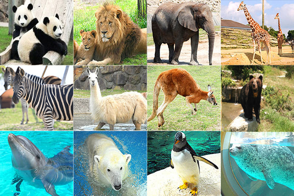 秋の和歌山デートプラン