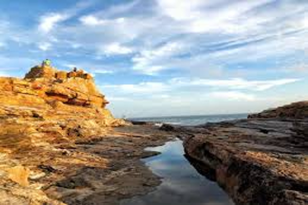 秋の和歌山デートプラン