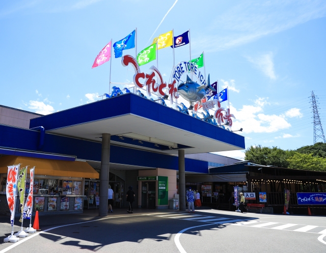 冬の和歌山デートプラン