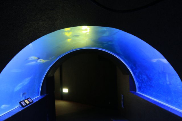 冬の和歌山デートプラン