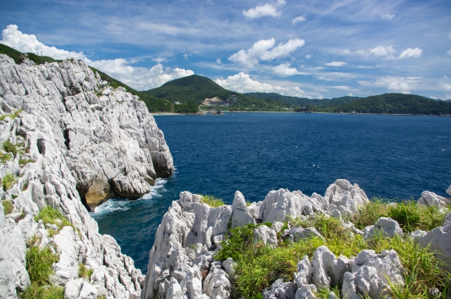 冬の和歌山デートプラン