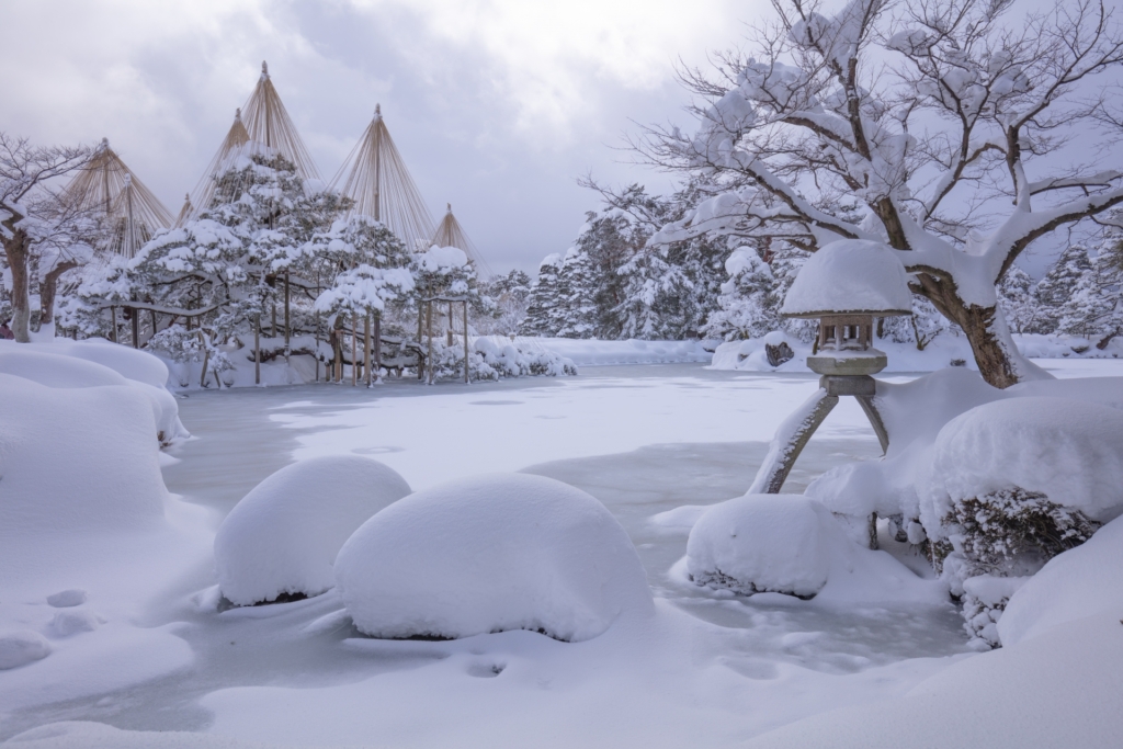 garden和歌山が教える白銀の世界でプロポーズおすすめスポット③