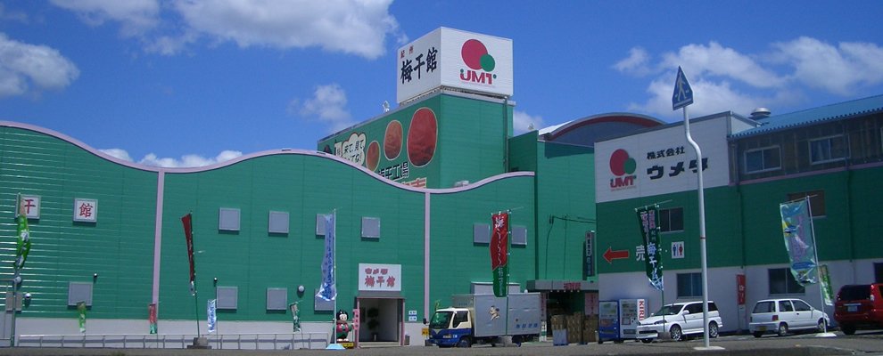 冬の和歌山デートプラン