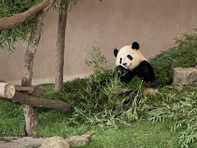 冬の和歌山デートプラン