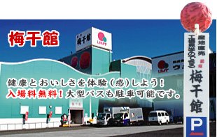 garden和歌山がおすすめする夏の和歌山デートプランで紀州梅干館