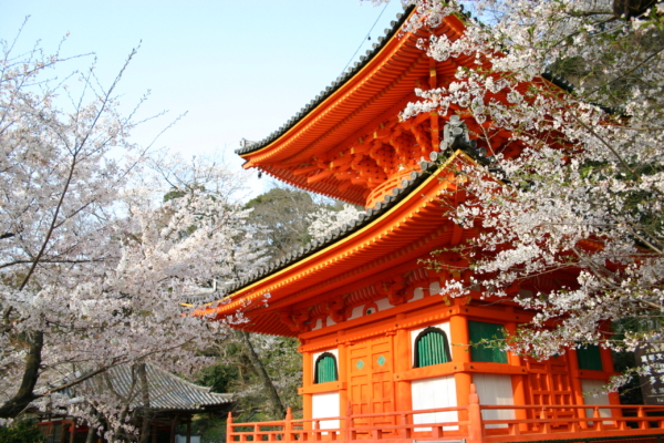 和歌山で春のおすすめのデートスポット