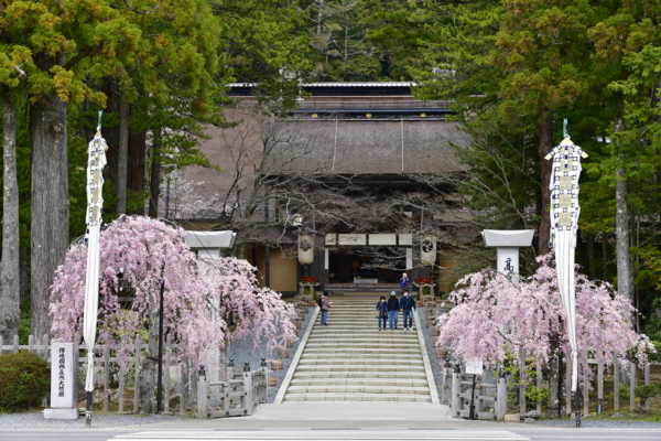 和歌山で春のおすすめのデートスポット