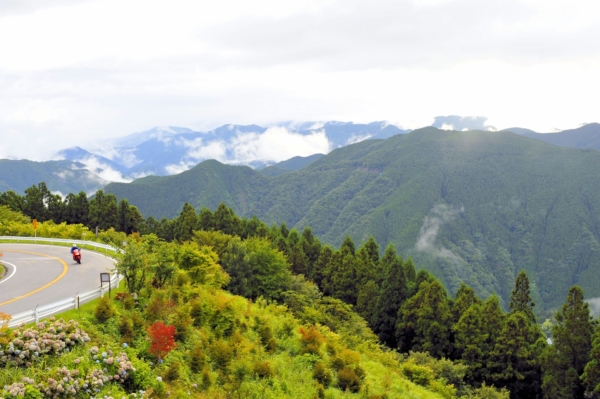 和歌山で春のおすすめのデートスポット