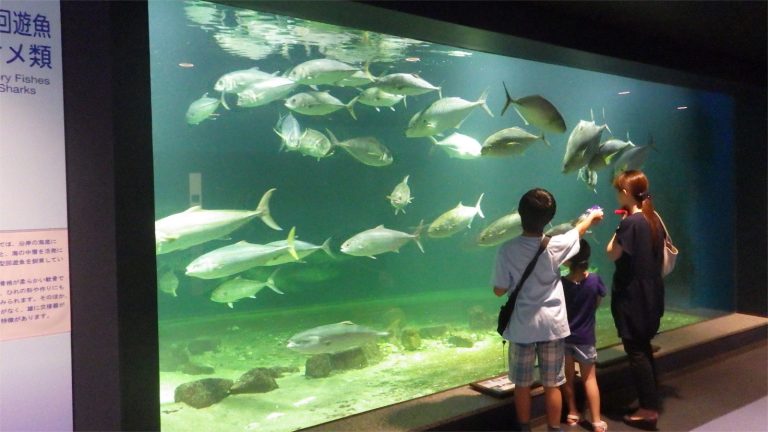 学生和歌山デートプラン