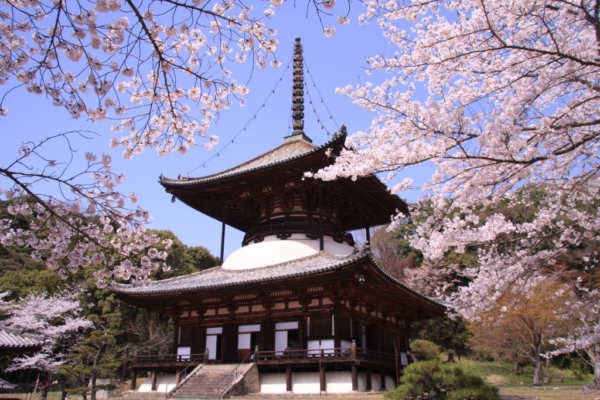 和歌山で春のおすすめのデートスポット