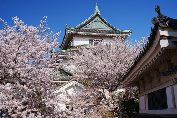 和歌山で春のおすすめのデートスポット