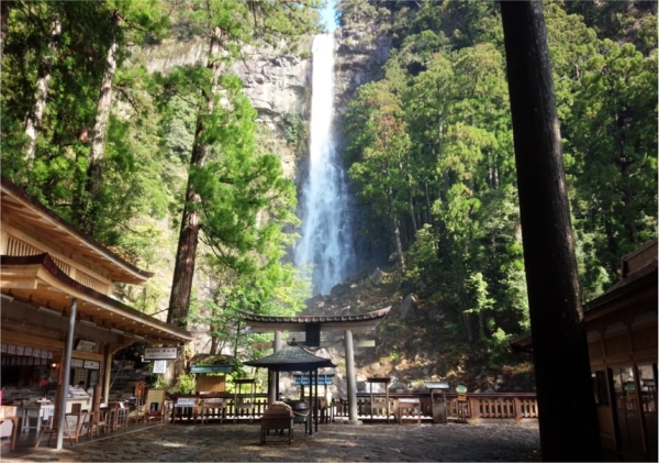 春におすすめの和歌山デートスポット