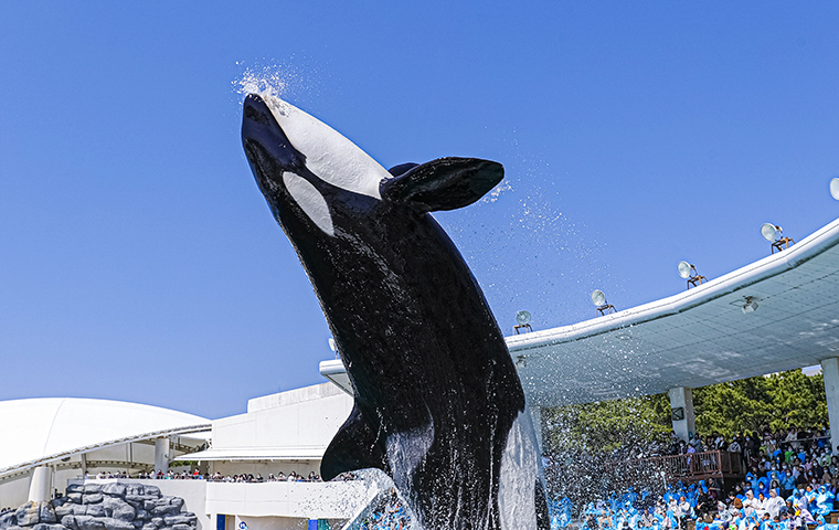 全国の”映え”水族館スポット