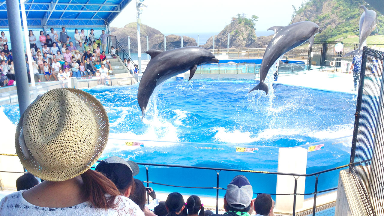 全国の”映え”水族館スポット