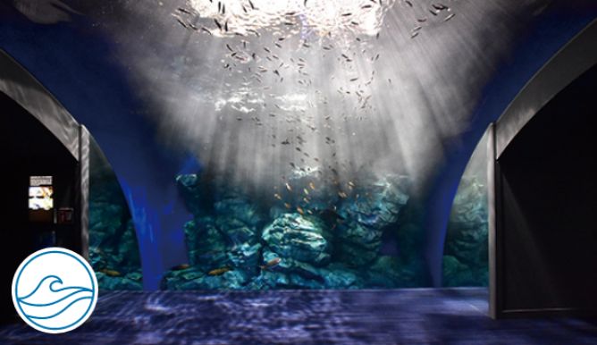 全国の”映え”水族館スポット