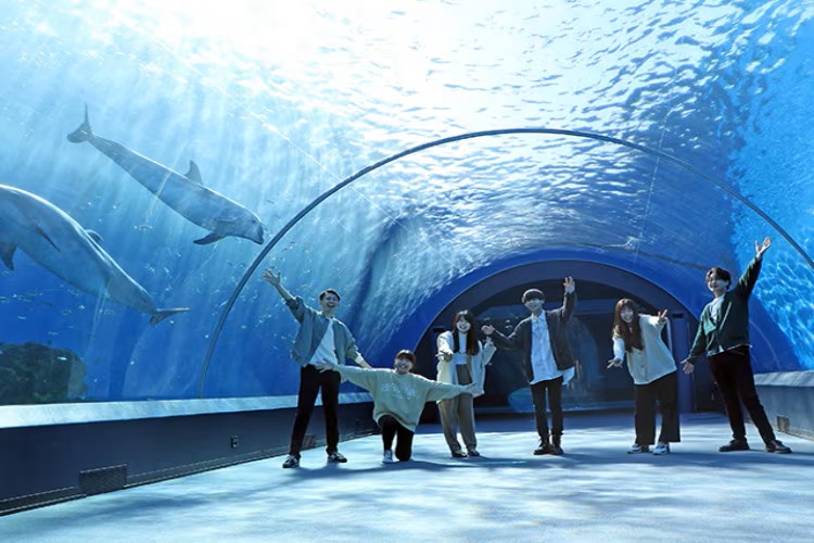 水族館プロポーズ