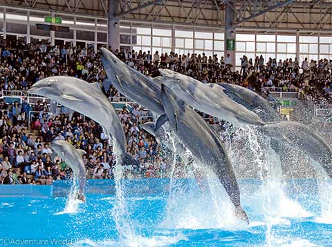 海も山も楽しめる！和歌山ドライブデートBEST10スポット