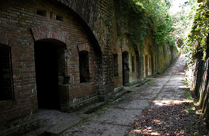 海も山も楽しめる！和歌山ドライブデートBEST10スポット