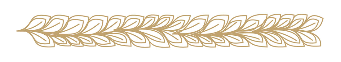 【2026年版】MAILE（マイレ）の結婚指輪・婚約指輪｜ブランドの魅力や人気デザインをご紹介